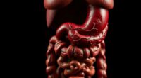 effects on gastrointestinal health