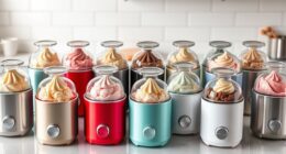 top small ice cream makers