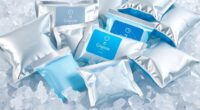 top ice cream shipping packs