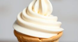 creamy swirl ice cream