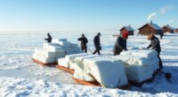 global ice trade history