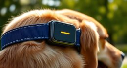 top gps dog collars