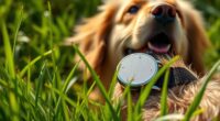 top pet gps trackers