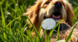 top pet gps trackers
