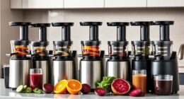 top commercial juicer picks