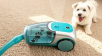 top pet friendly portable carpet cleaners