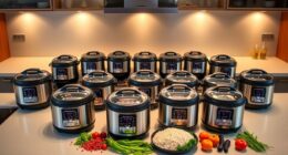 top premium rice cooker picks