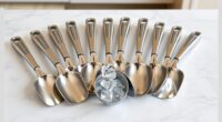 top stainless steel ice scoops