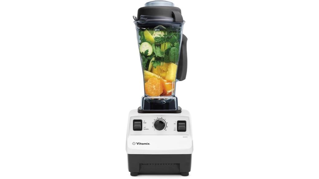 vitamix 5200 smoothie blender