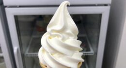 check the ice cream dispenser