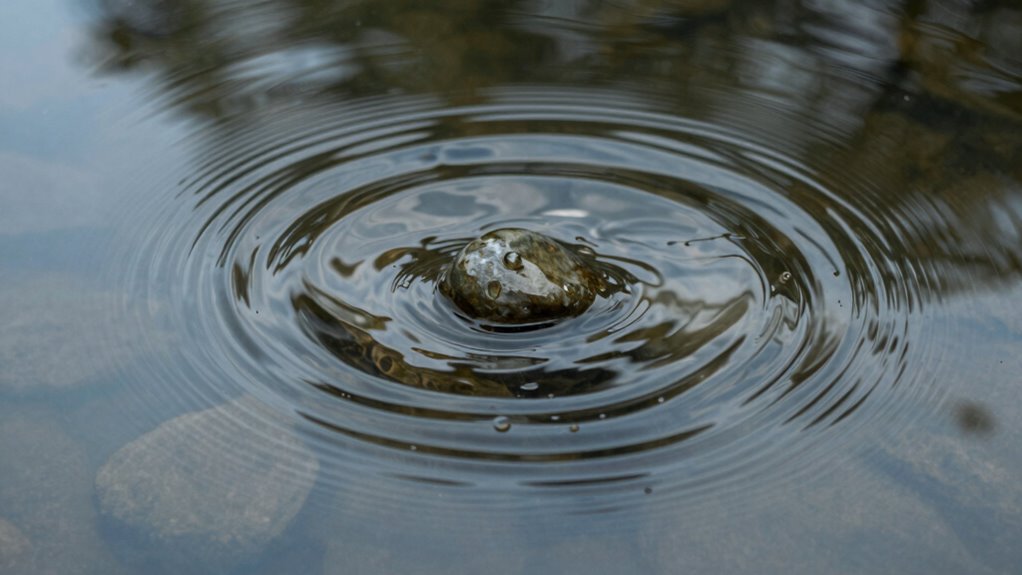 clean water enhances ripple clarity