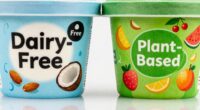 dairy free vs plant based
