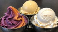 different frozen dessert bases
