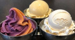 different frozen dessert bases