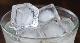 ice type affects dilution