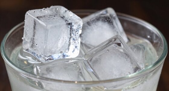 ice type affects dilution