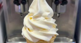 incorrect soft serve texture