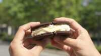 8 Best Ice Cream Sandwiches in 2026