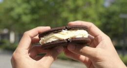 8 Best Ice Cream Sandwiches in 2026