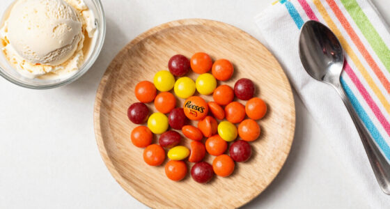 12 Best Reese's Pieces Candies in 2026