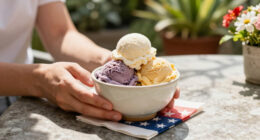 14 Best Patriotic Ice Cream Bowls in 2026