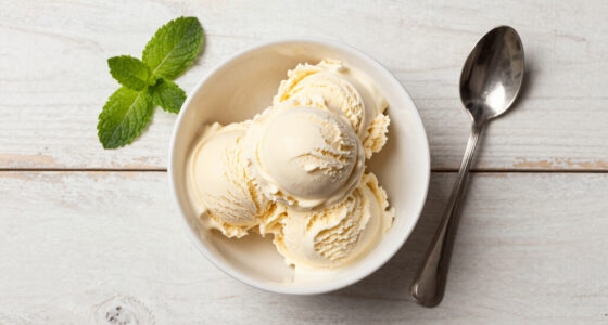 14 Best Vanilla Ice Creams in 2026