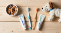 15 Best Pet Dental Care Products in 2026