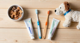 15 Best Pet Dental Care Products in 2026