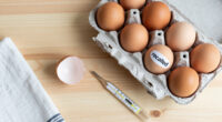 Eggs Recalled Salmonella
