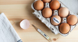 Eggs Recalled Salmonella