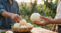 Farmer, Marketer At Odds Over Sales Of White Nectarines