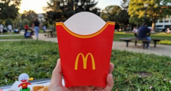 Mcdonalds Bt21 Happy Meal