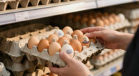 Midwest Poultry Services Egg Recall