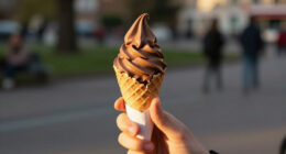 9 Best Chocolate Ice Cream in 2026