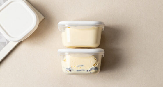 15 Best Ice Cream Storage Containers for 2026