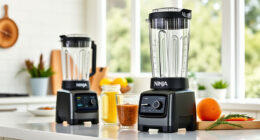 Summer Care Tips for Your Ninja Blast Max Portable Blender