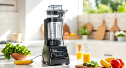 Summer Care Tips for Your Ninja BN805A Pro Plus Kitchen System