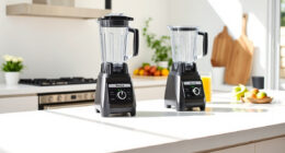 Summer Care Tips for Your Ninja Professional Blender