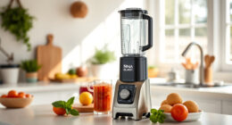 Summer Care & Troubleshooting for Ninja Blast Portable Blender