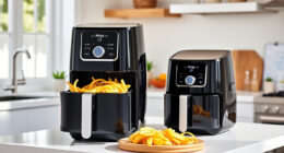 Summer Care & Troubleshooting Guide for Ninja DoubleStack XL Air Fryer