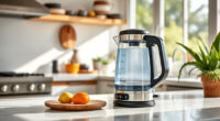 Summer-Ready Pairings for Your Ninja KT200BL Precision Electric Kettle