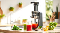 Summer Refresh with the Ninja NeverClog Cold Press Juicer