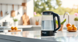 Summer’s Best Brew: Ninja KT200BL Precision Temp Electric Kettle Hacks